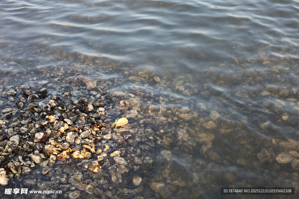 岸边碎石旁的清澈水域
