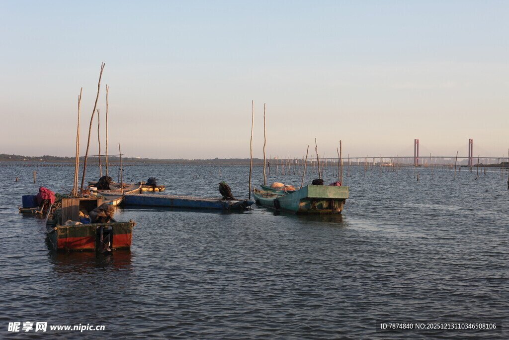 海上船只停泊景象