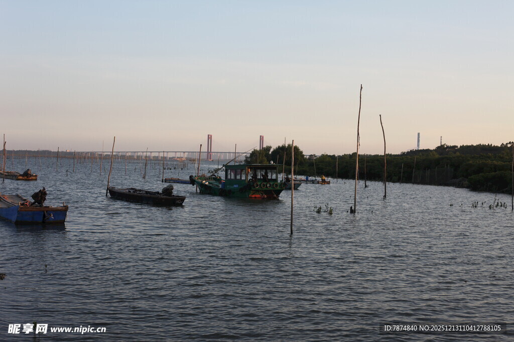 黄昏海港中的停泊船只