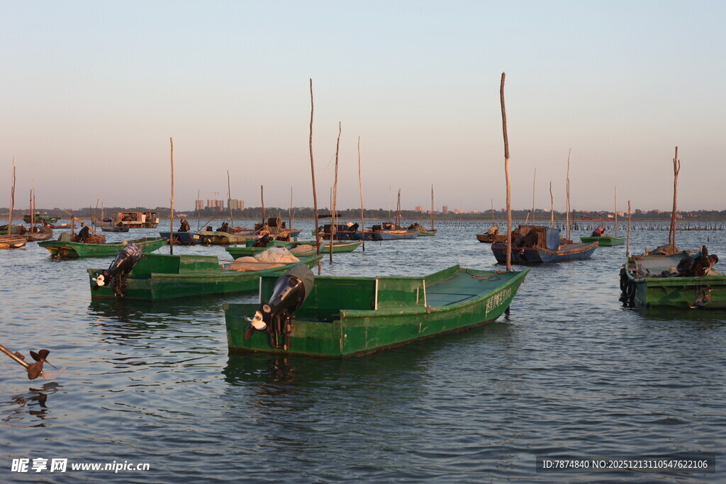 海港停泊的多彩船只
