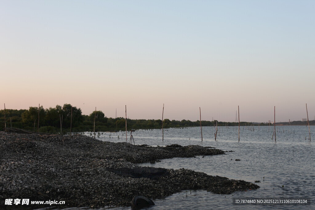 黄昏下的宁静河岸风光