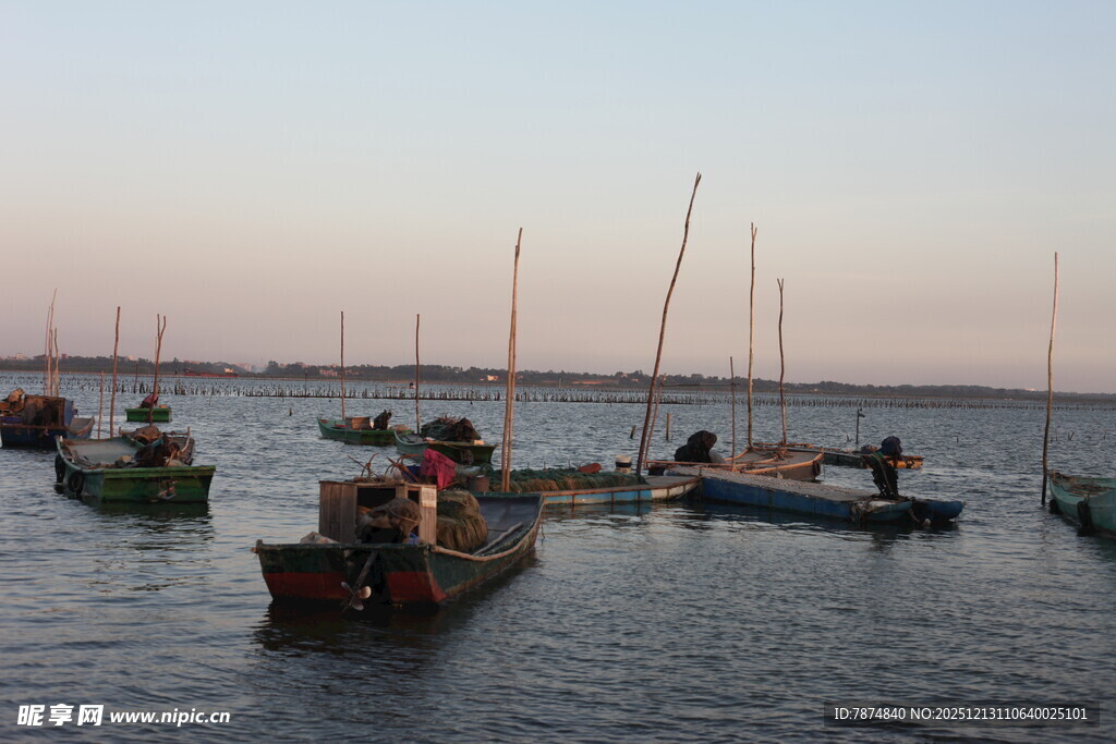 黄昏海港停泊的多彩船只