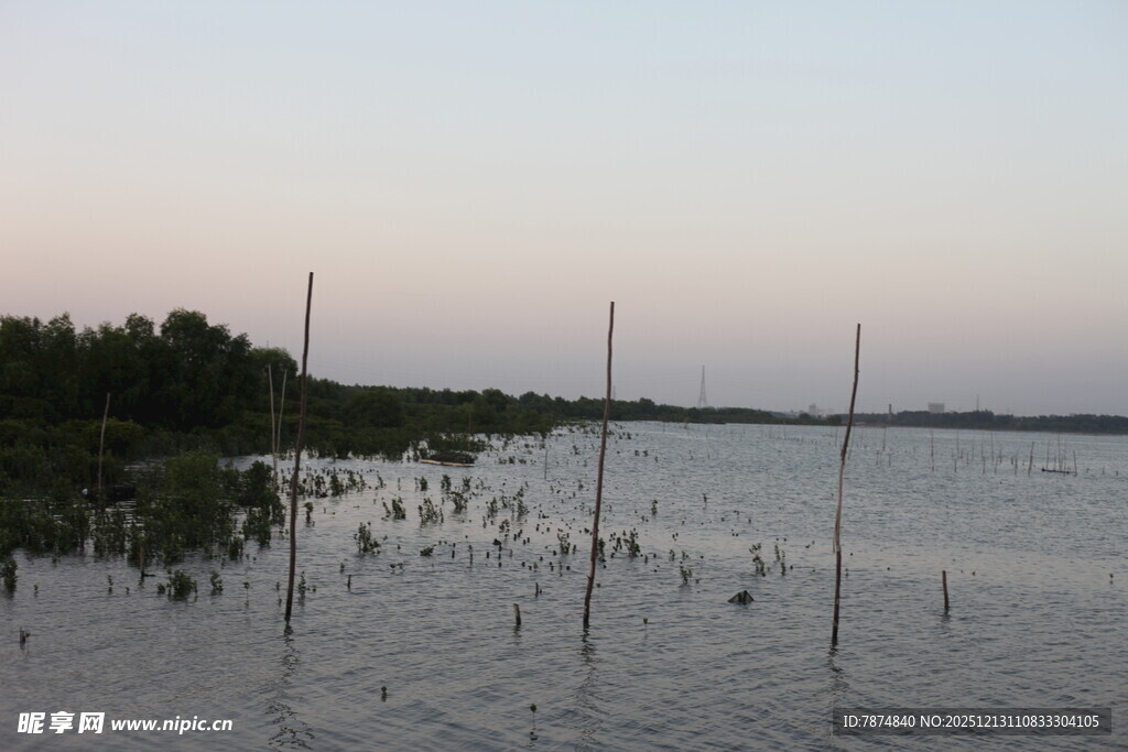 黄昏湖畔垂钓景致