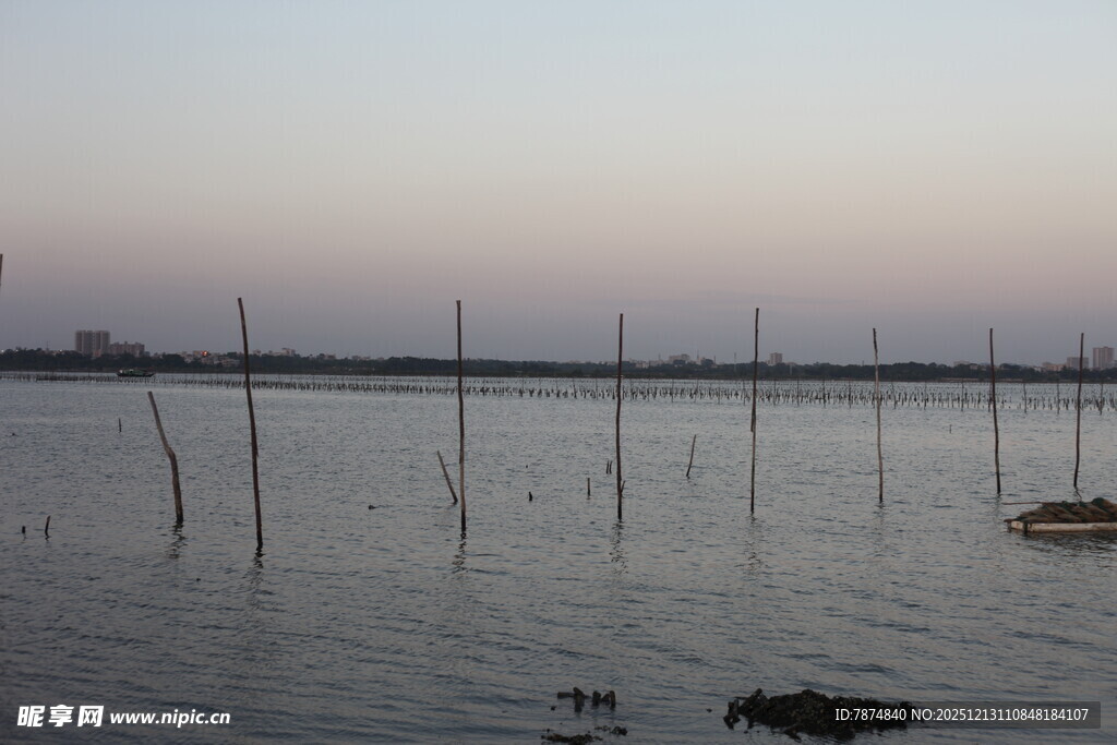 海上林立的木桩景观