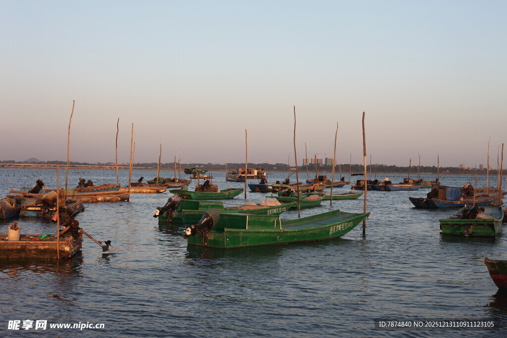 夕阳下的渔港渔船景象