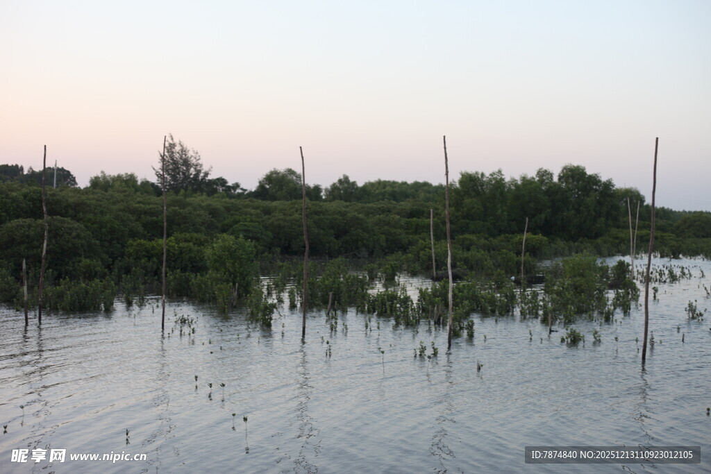 黄昏时的湿地景观