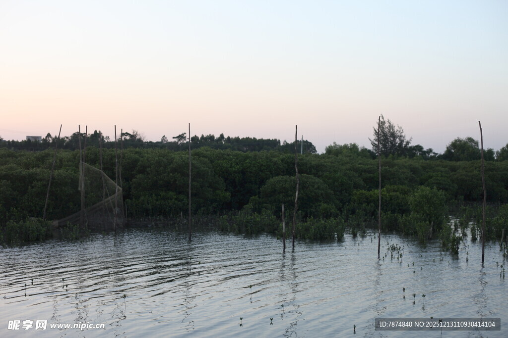 黄昏下的湿地景观