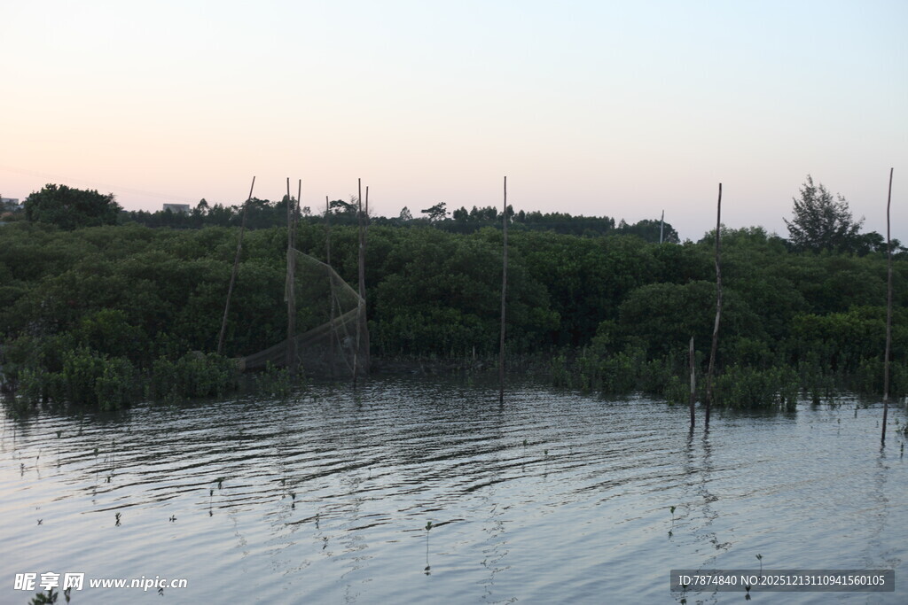 黄昏下的宁静水域与植被