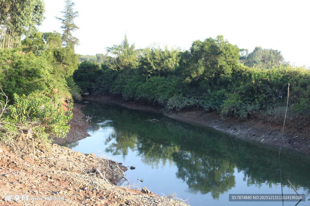 乡村静谧小河畔风光