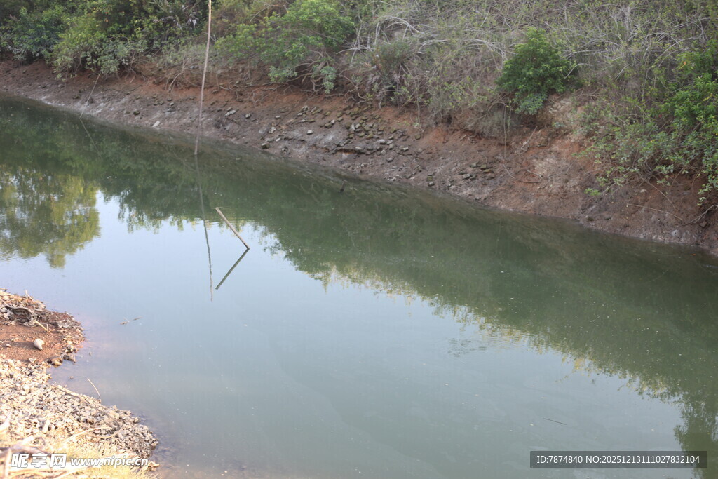 宁静小河畔的自然景致