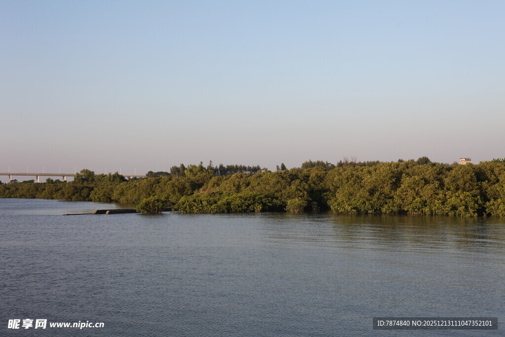 河畔绿树环绕的宁静水域