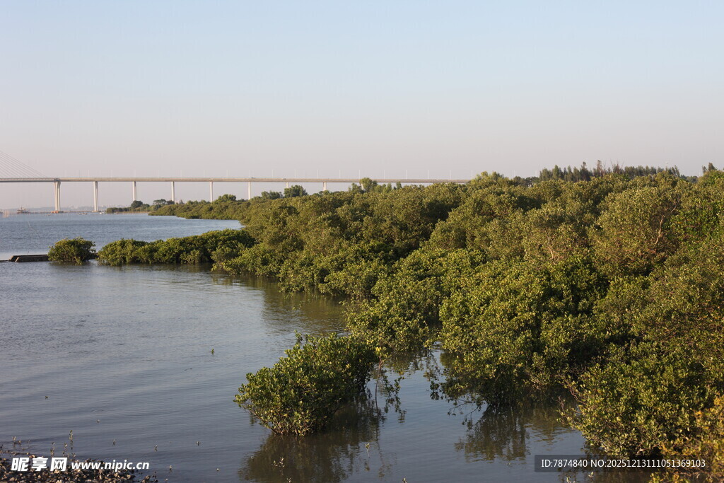 河畔茂密绿植景观