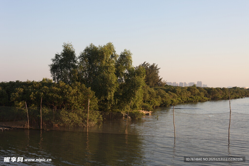 河畔绿树成荫的静谧风光