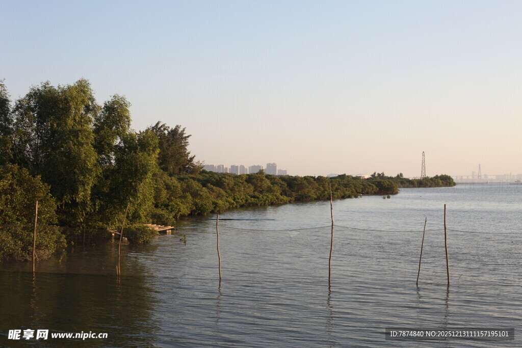 河畔树林与水中栅栏景观