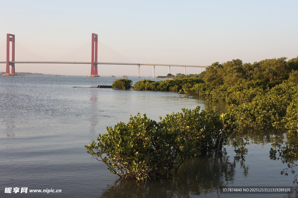 河畔桥梁与葱郁植被景观
