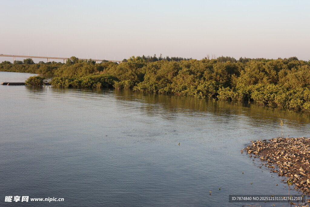 河畔绿意盎然的自然景致