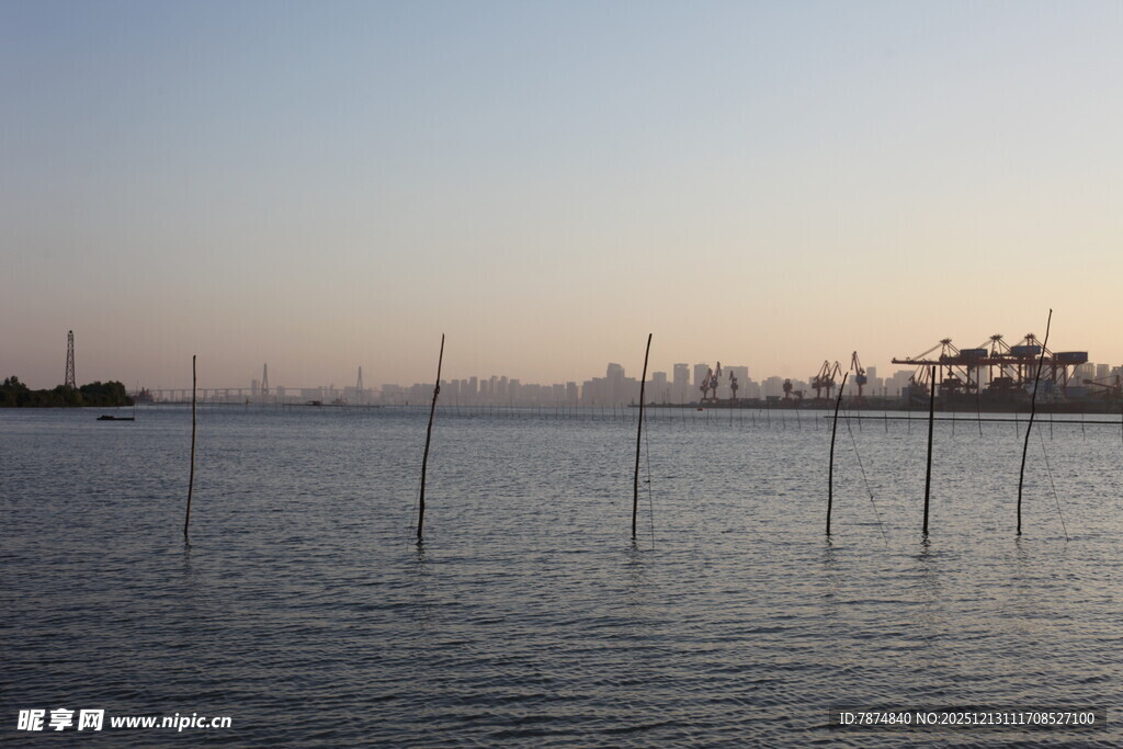 海上林立的养殖桩架