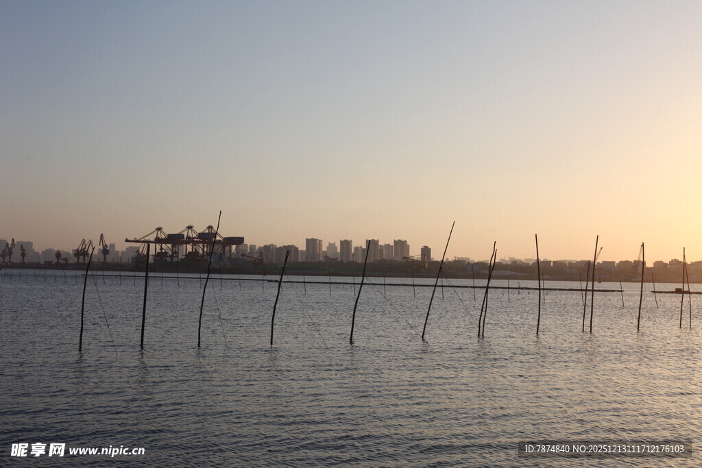 夕阳下的水域与林立桩架