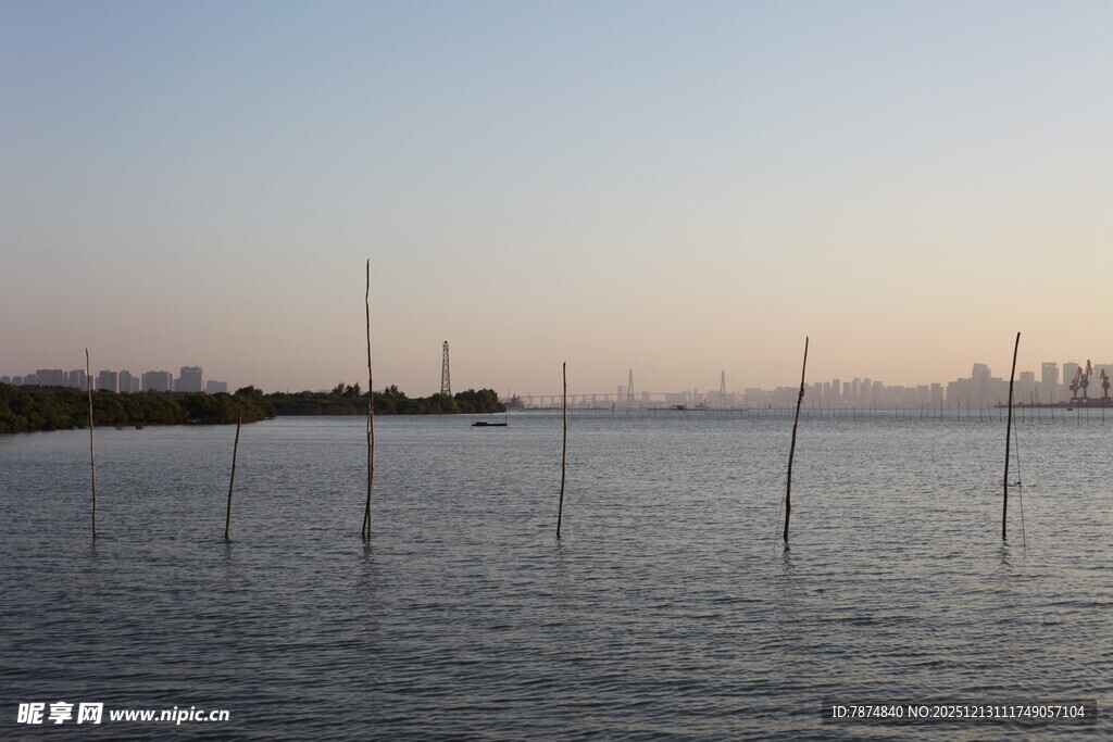 海边暮色中的林立木桩