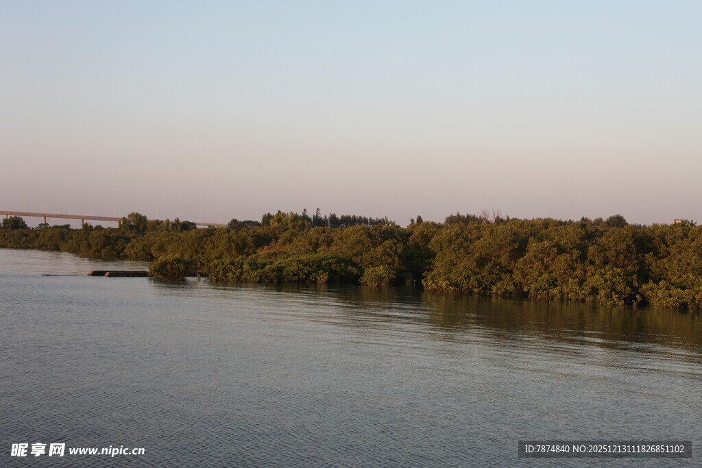 河畔绿树成荫的宁静风光