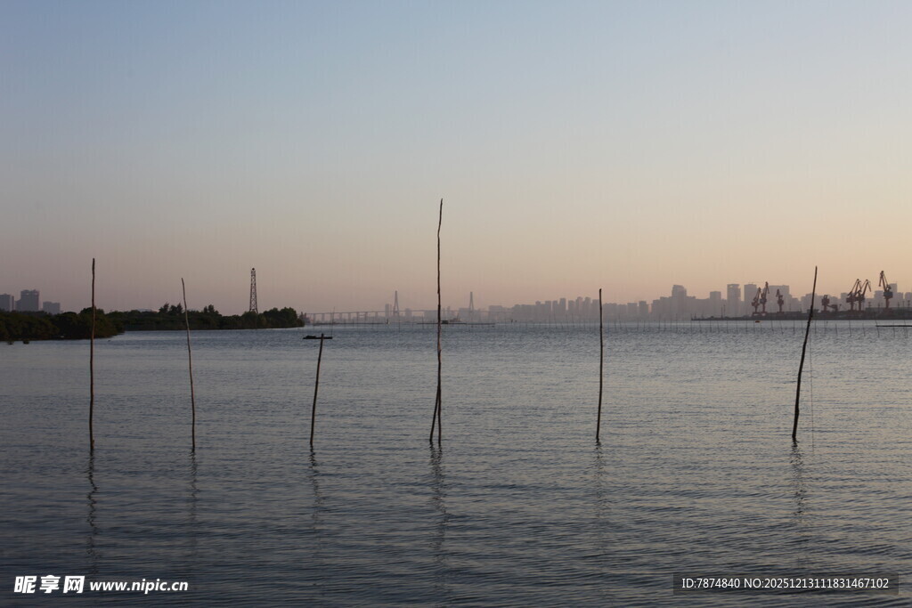 海边暮色中的林立木桩