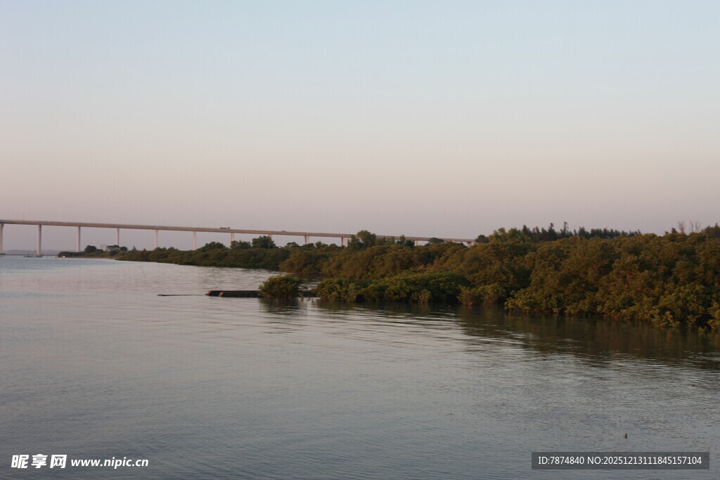 河畔桥梁与葱郁植被景观