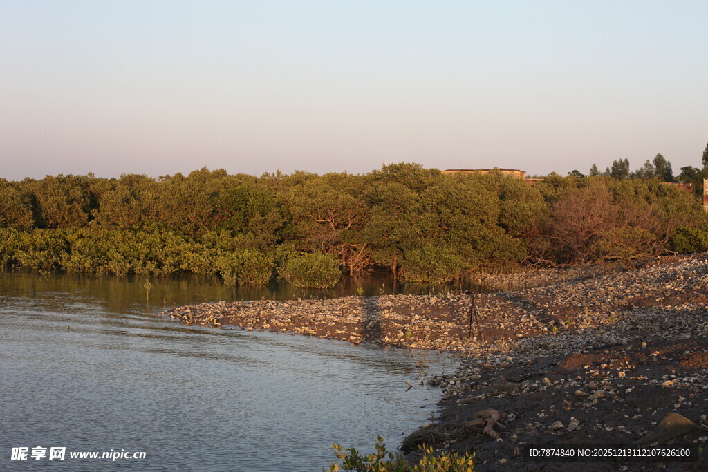 河畔自然风光景色迷人