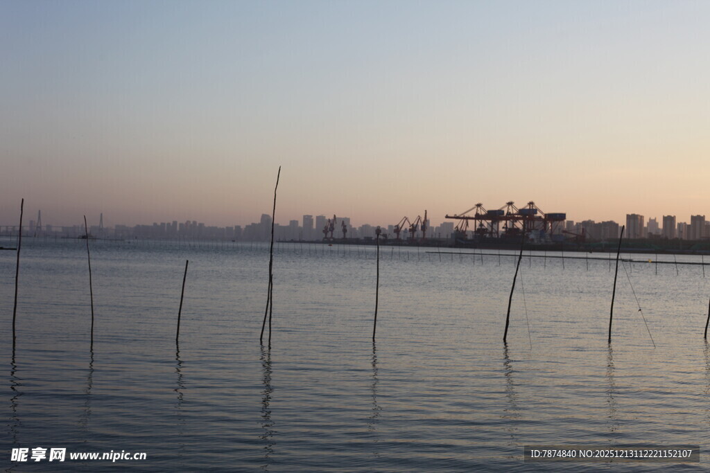 海边暮色中的林立木桩