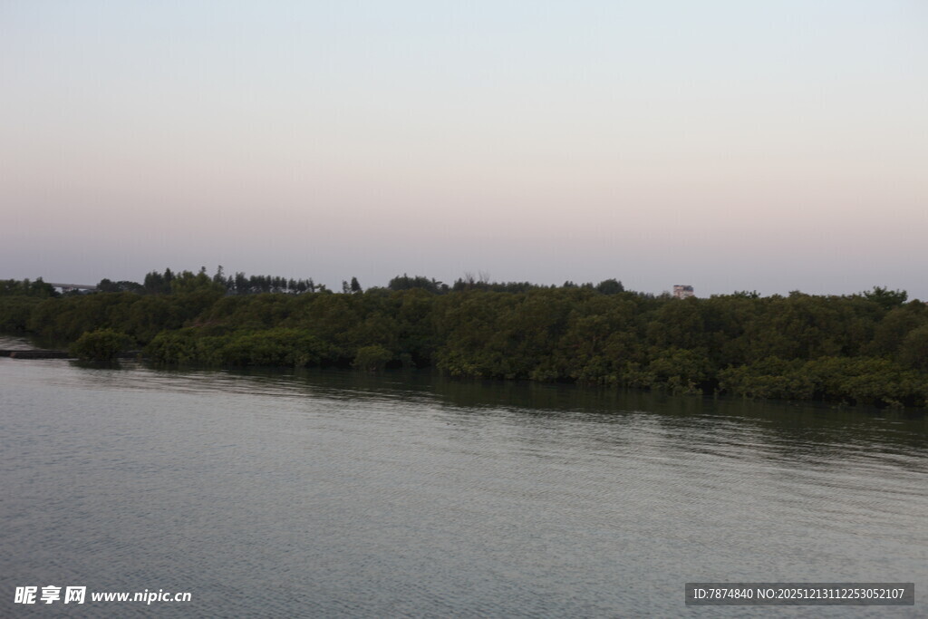 河畔绿树成荫的宁静景象