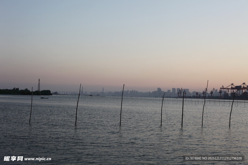 海边暮色中的林立木桩