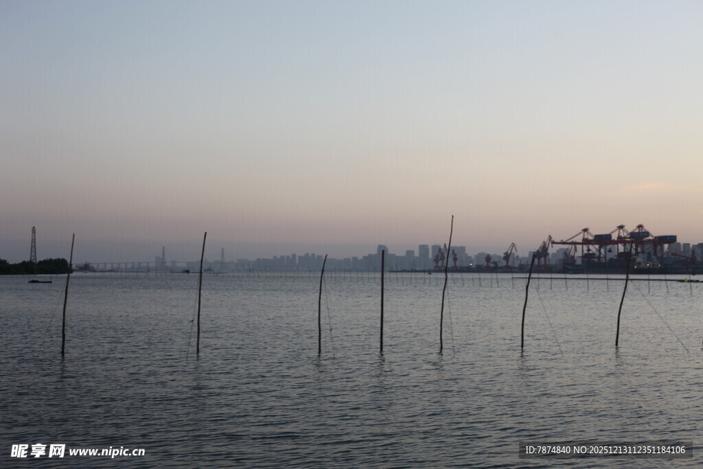 海上林立的养殖桩柱