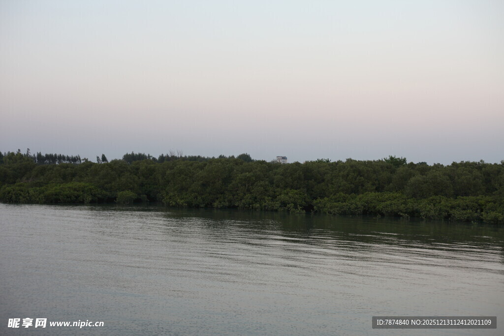 河畔绿植与平静水面景观