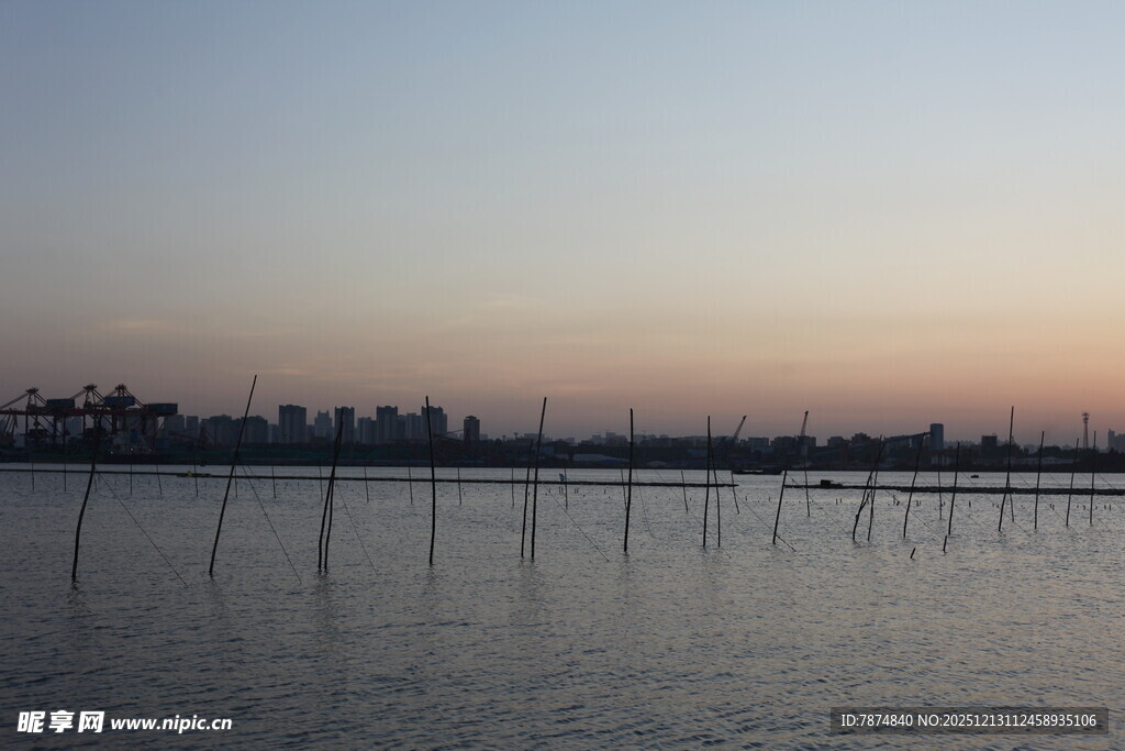黄昏下的水域与林立桩架