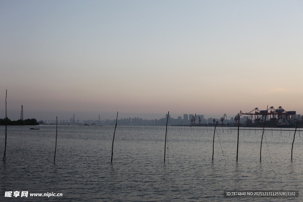 海边暮色中的林立木桩