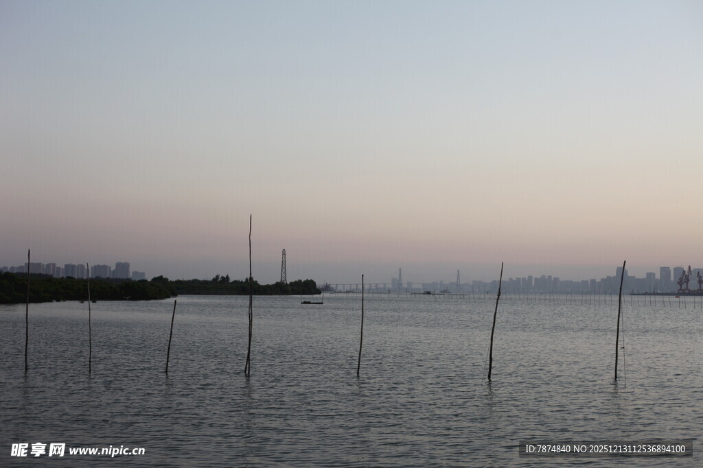 海边暮色中的林立竹竿