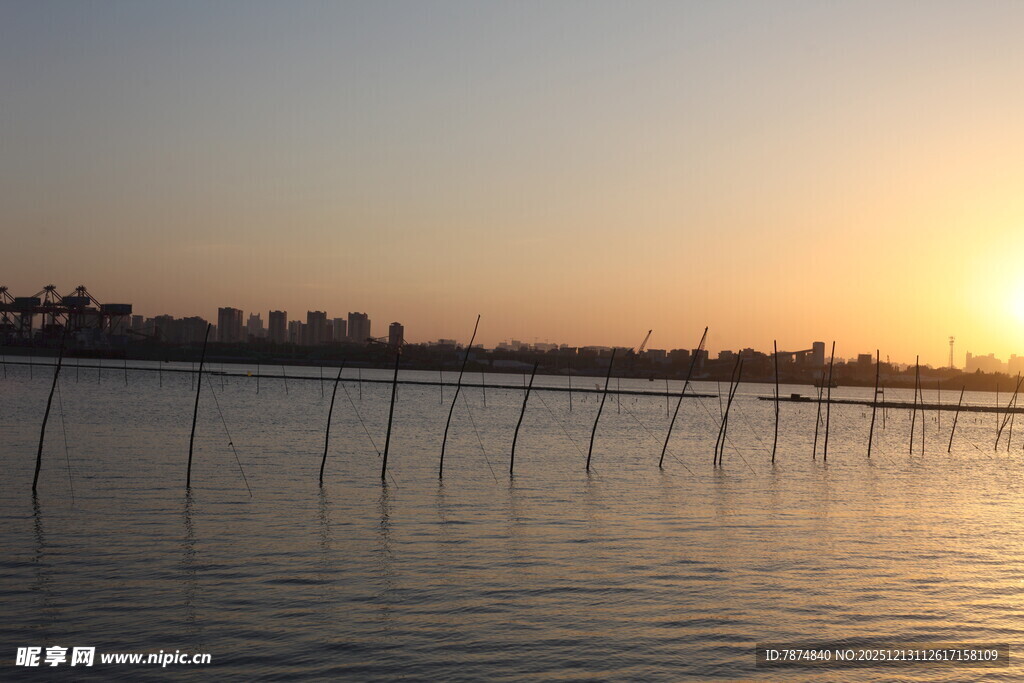 夕阳下的水面与林立木桩