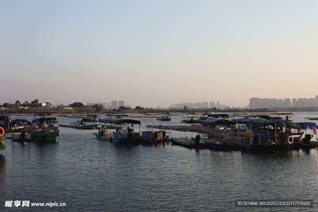 港湾停泊的众多船只