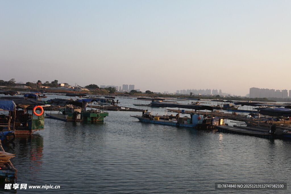 宁静港湾中的停泊船只