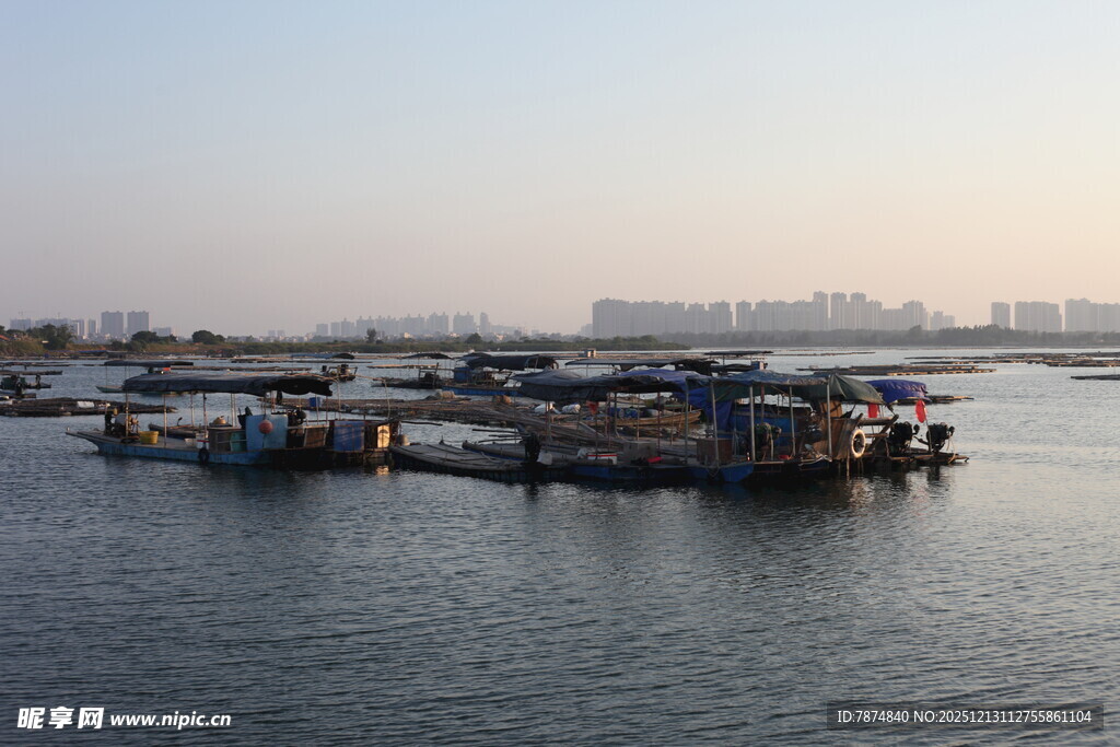 港口停泊的船只景象