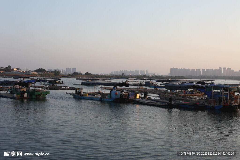 港口船只停泊景象