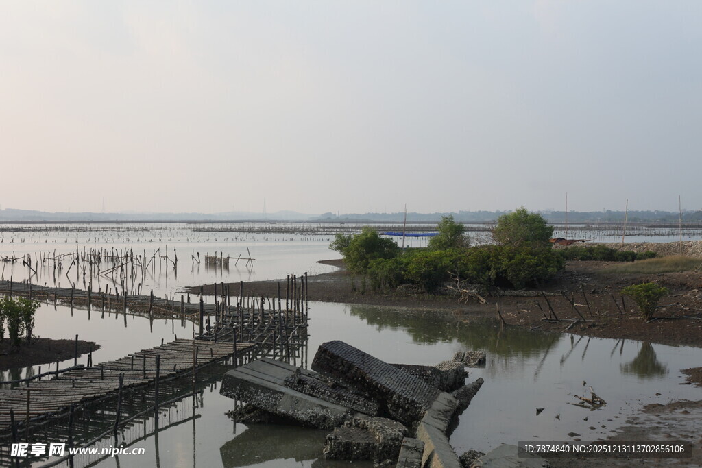 湿地栈桥旁的静谧景象