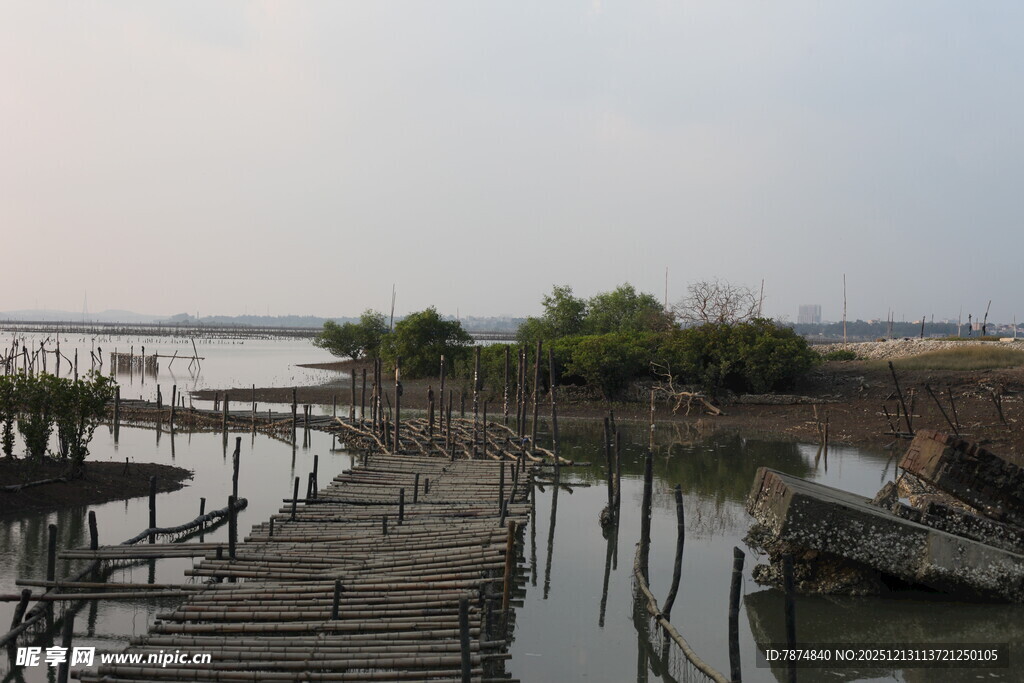 水上木栈道与周边景致