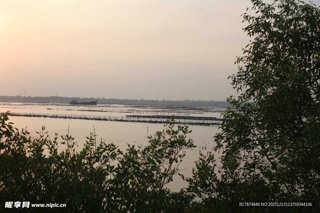 黄昏下的河畔风光