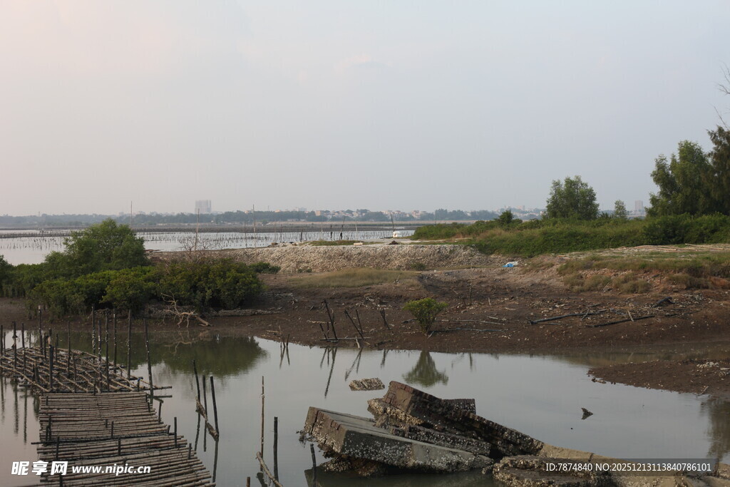 江边停泊的船只与岸景