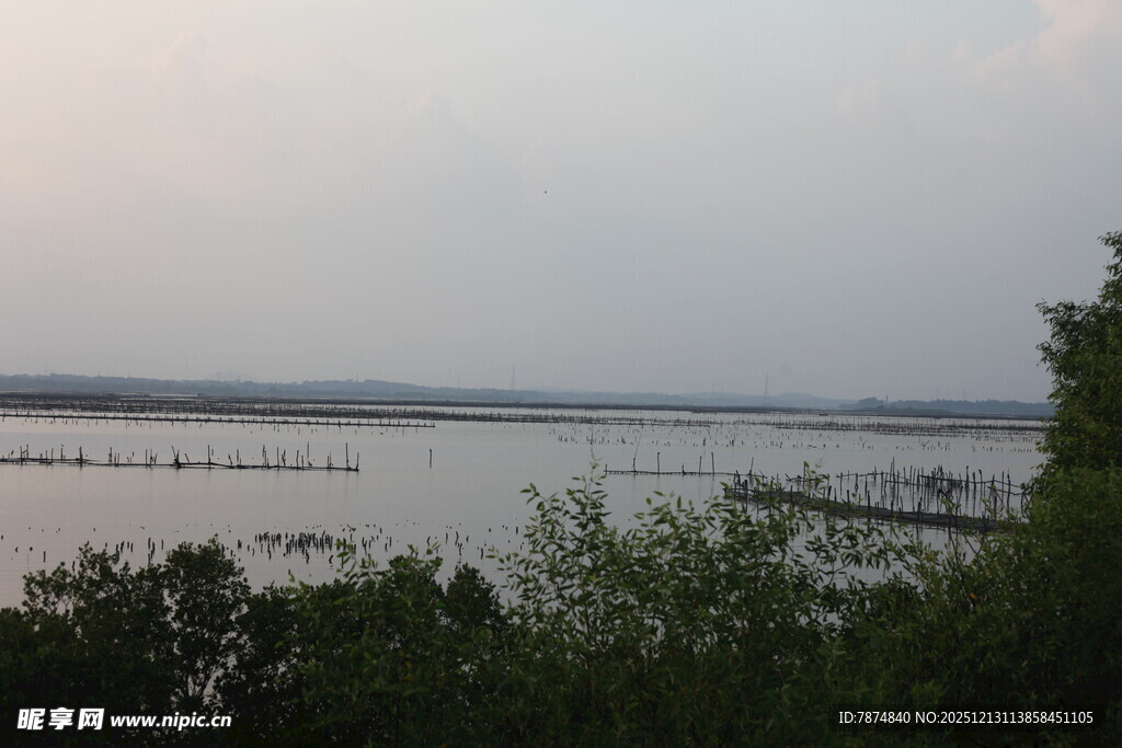 湖畔暮色下的宁静水域