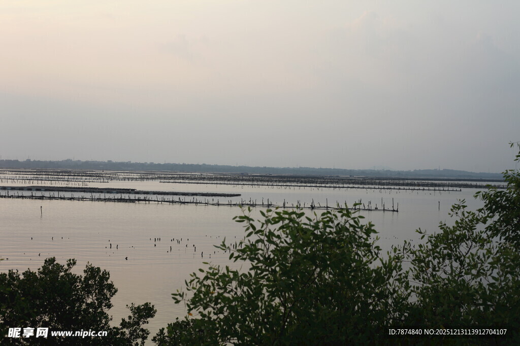 黄昏下的宁静水域景观
