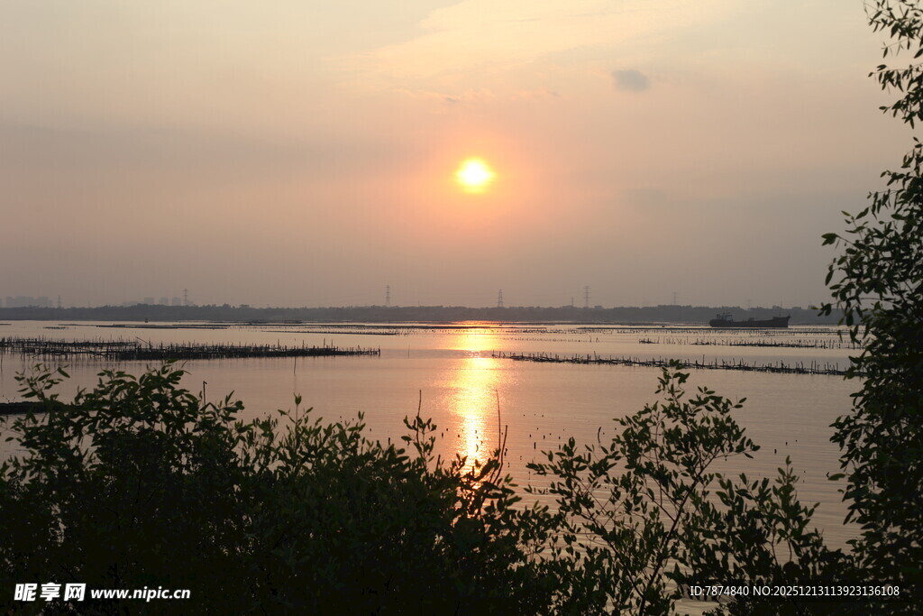 夕阳下的宁静河畔风光