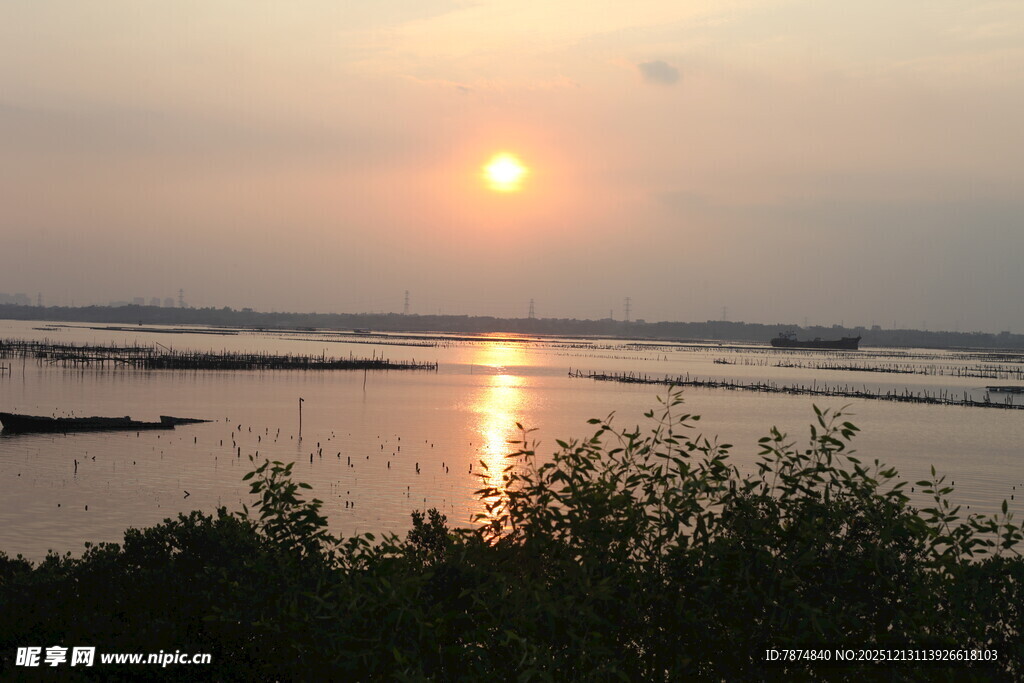 夕阳下的宁静水域景观