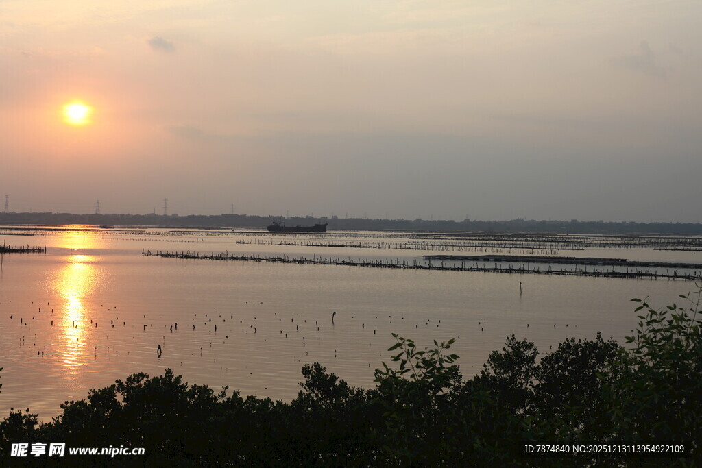 夕阳下的宁静水域景观