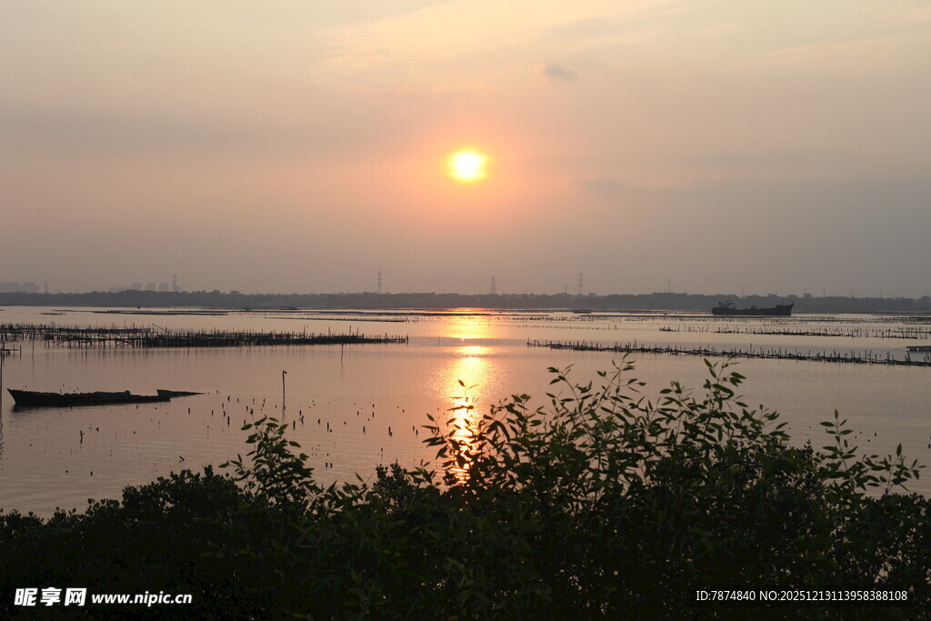 夕阳下的宁静水面景色
